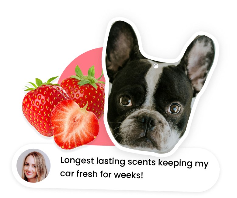 Custom Face Air Fresheners For Your Car Make My Freshener